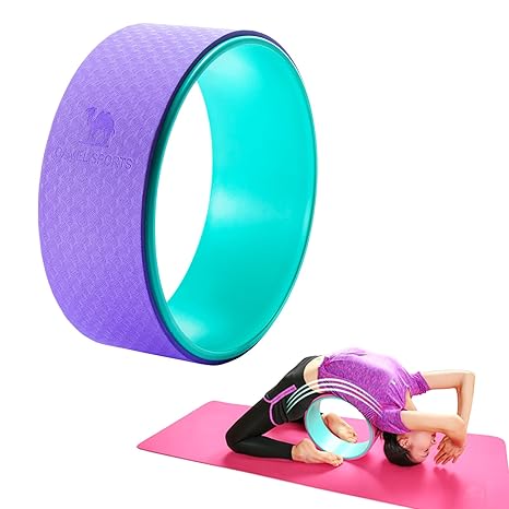 Amazon.com : Camel 13