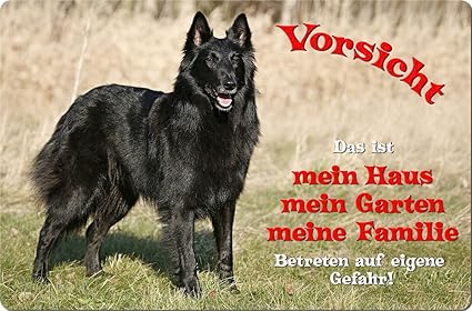 Berger Belge Groenendael Berger Belge Métal Enseigne Pour