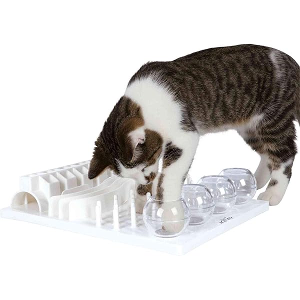 Catit 50745 Zabawka do Karmienia Kotów, 350 ml, Wielokolorowy ...