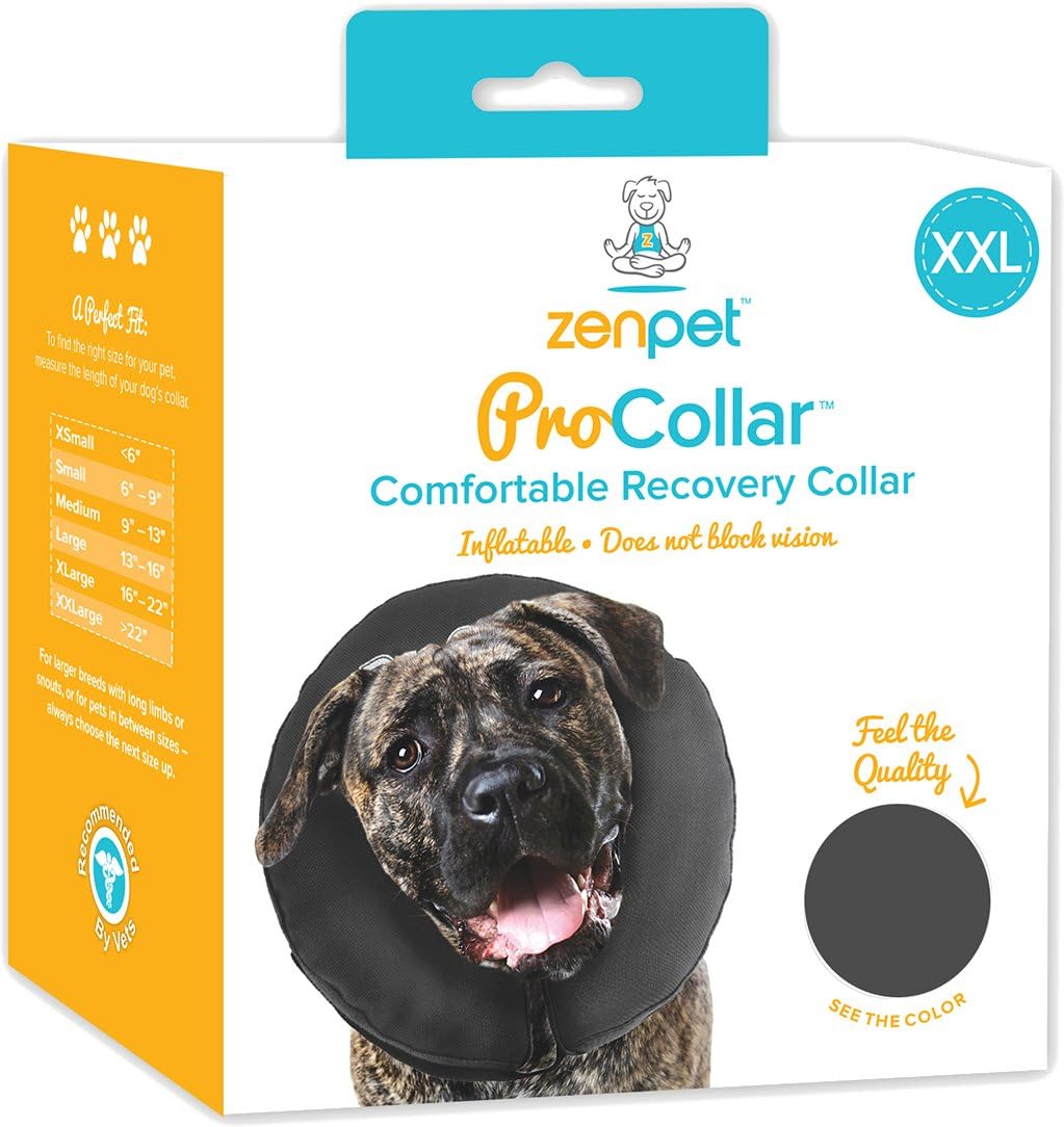 Zen cone dog collar Clearance