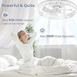 LEDIARY 20" Modern Ceiling Fans with Lights and