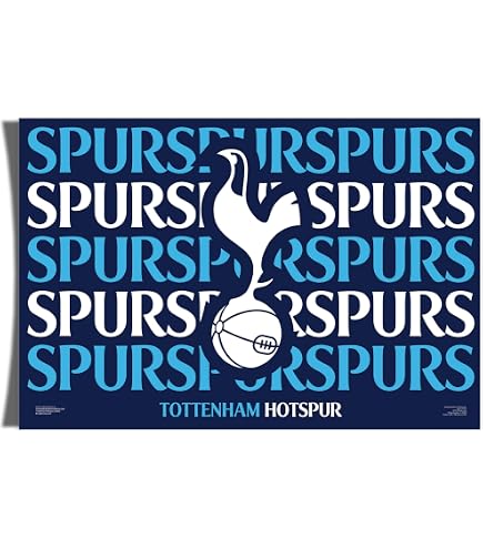 Tottenham Hotspur FC Autohanger – Kleine Sleutelhanger Of Spiegelversiering (75x60 Mm)