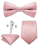 Hi-Tie Men Ties Bowtie Set Silk Necktie Bow Tie