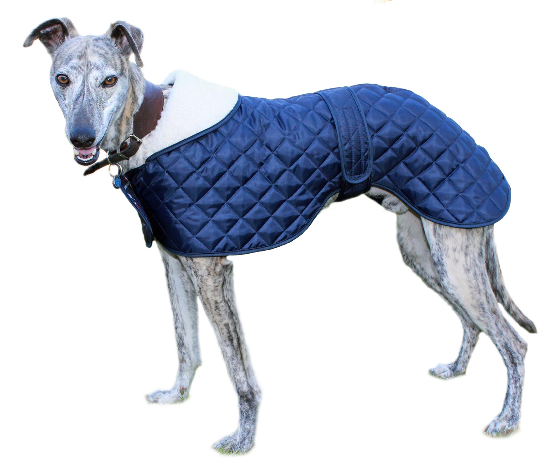 Cosipet Greyhound Anorak, 22-inch/ 56 cm, Blue