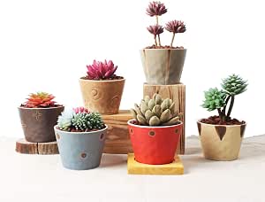 Ordso - Macetas pequeñas de cerámica para Plantas suculentas ...