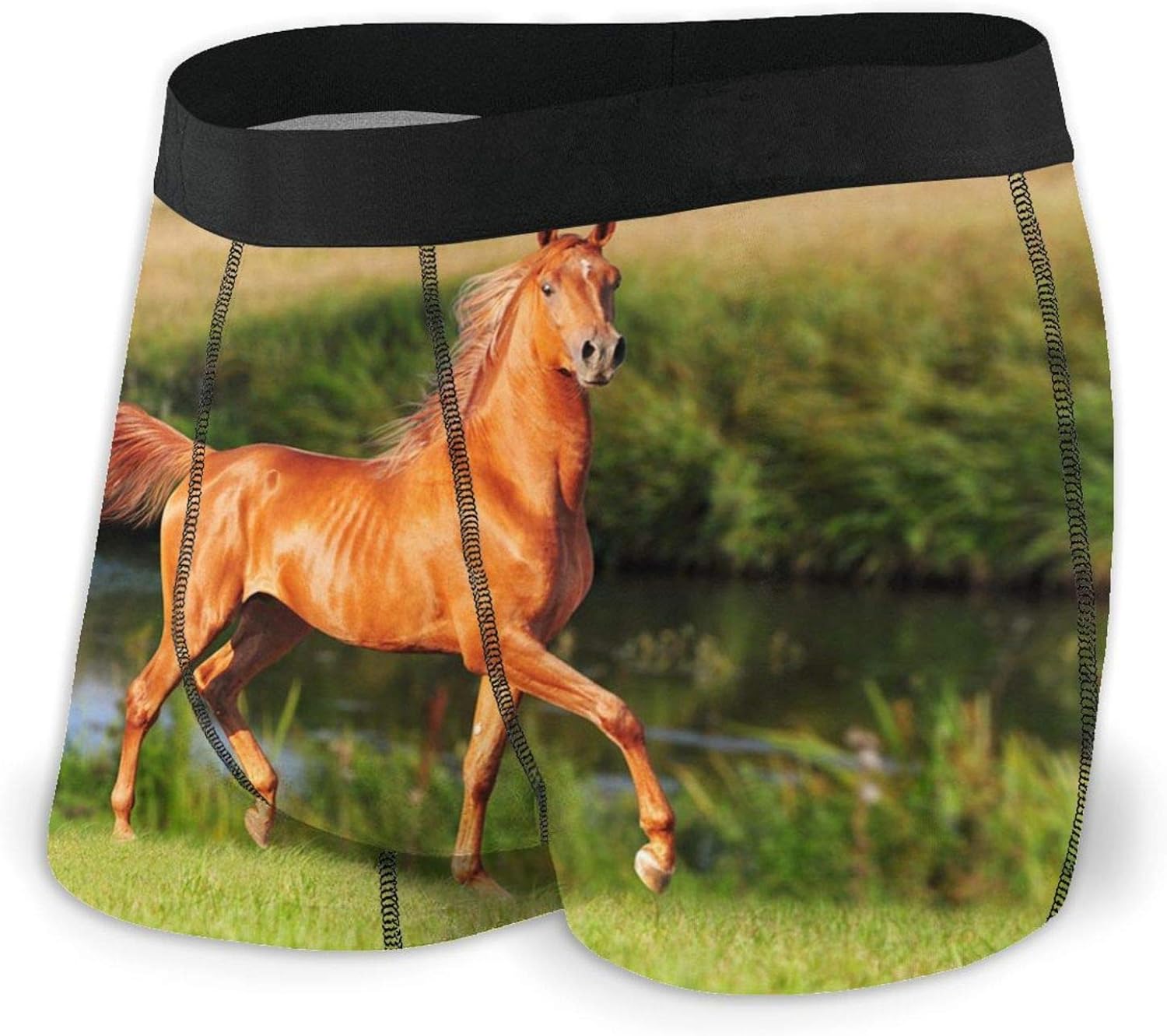 Men's Boxer Brief Horse Low Rise Funny Underwear Clothing