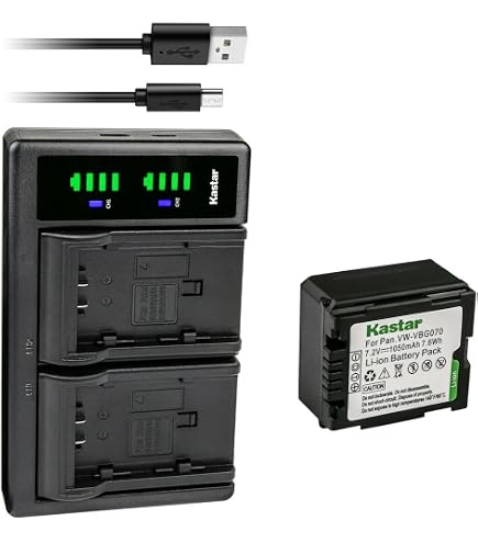 Amazon.com : Kastar 1-Pack Battery Replacement for Panasonic SDR