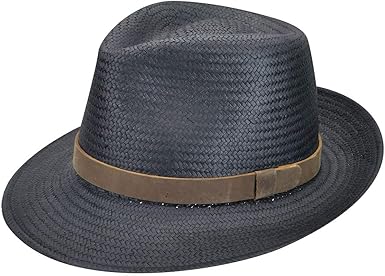 fedora stroller review