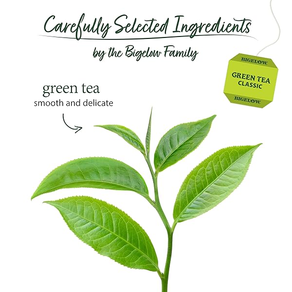 BIGELOW TEA CLASSIC GREEN TEA, CAFFEINATED TEA, 20 TOTAL TEA BAGS (PACK OF 1)