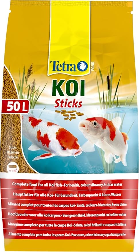 tetra koi