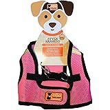the dog walker company harness sizing