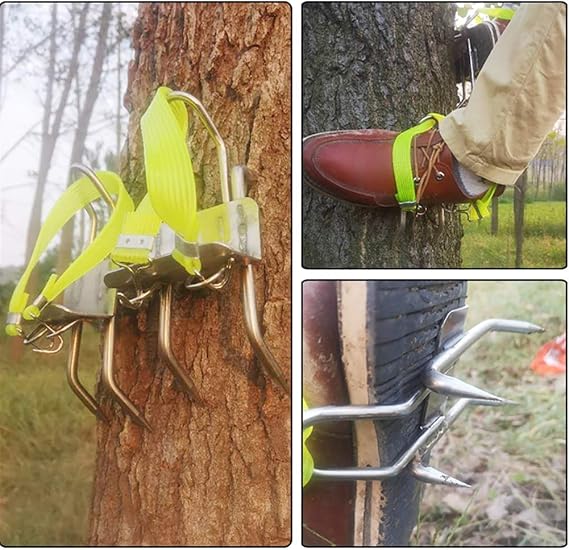 KOMBIUDA Pointes D’escalade Pour Arbres – Acier Carbone, Antidérapantes – Idéal Pour Cueillette – Taille M