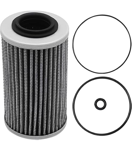 Amazon.com: Sea-Doo New OEM, Spyder SM6 SE6 Oil Filter, 420956743