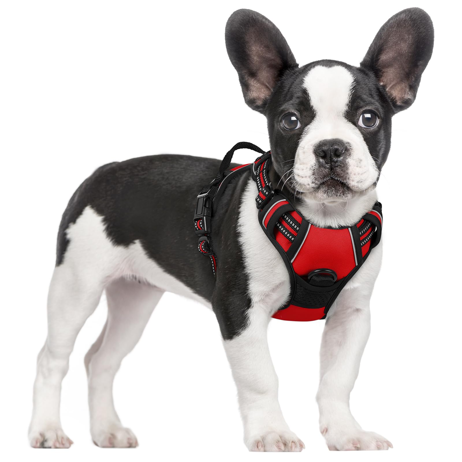 Photo 1 of rabbitgoo Dog Harness No Pull with 2 Leash Clips, Adjustable Soft Padded, Reflective Oxford No Choke Pet Vest with Easy Control Handle for Small Dogs, Red, S