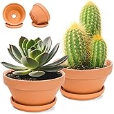 Mezchi 2 Pack 8 Inch Shallow Succulent Terracotta Pots with Drainage Hole and Saucer, Clay Plant Pots for Indoor and Outdoor Planter, Bowl Planter for Orchid, Cactus, Flowers