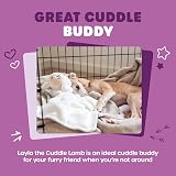Webbox Layla the Cuddle Lamb Soft Blanket Toy for Dogs Puppies Crinkle Squeaker view 3