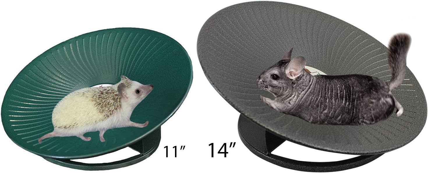 chinchilla exercise wheel