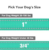 Taglory Dog Lead Reflective Nylon 2 cm x 180 cm Turquoise view 4