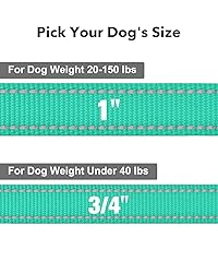 Taglory Dog Leash for Medium Large