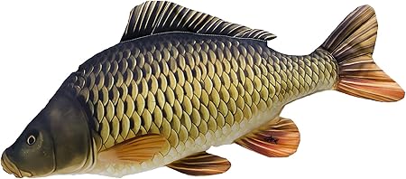 carp toy