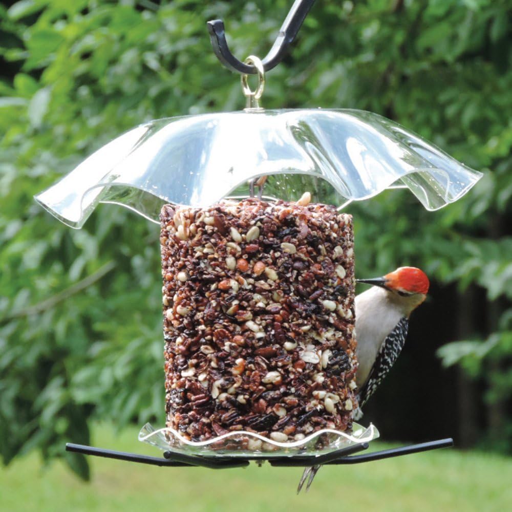 Amazon Com Birds Choice Clear Cylinder Seed Cake Feeder Medium