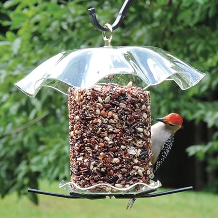 Amazon Com Birds Choice Clear Cylinder Seed Cake Feeder Medium