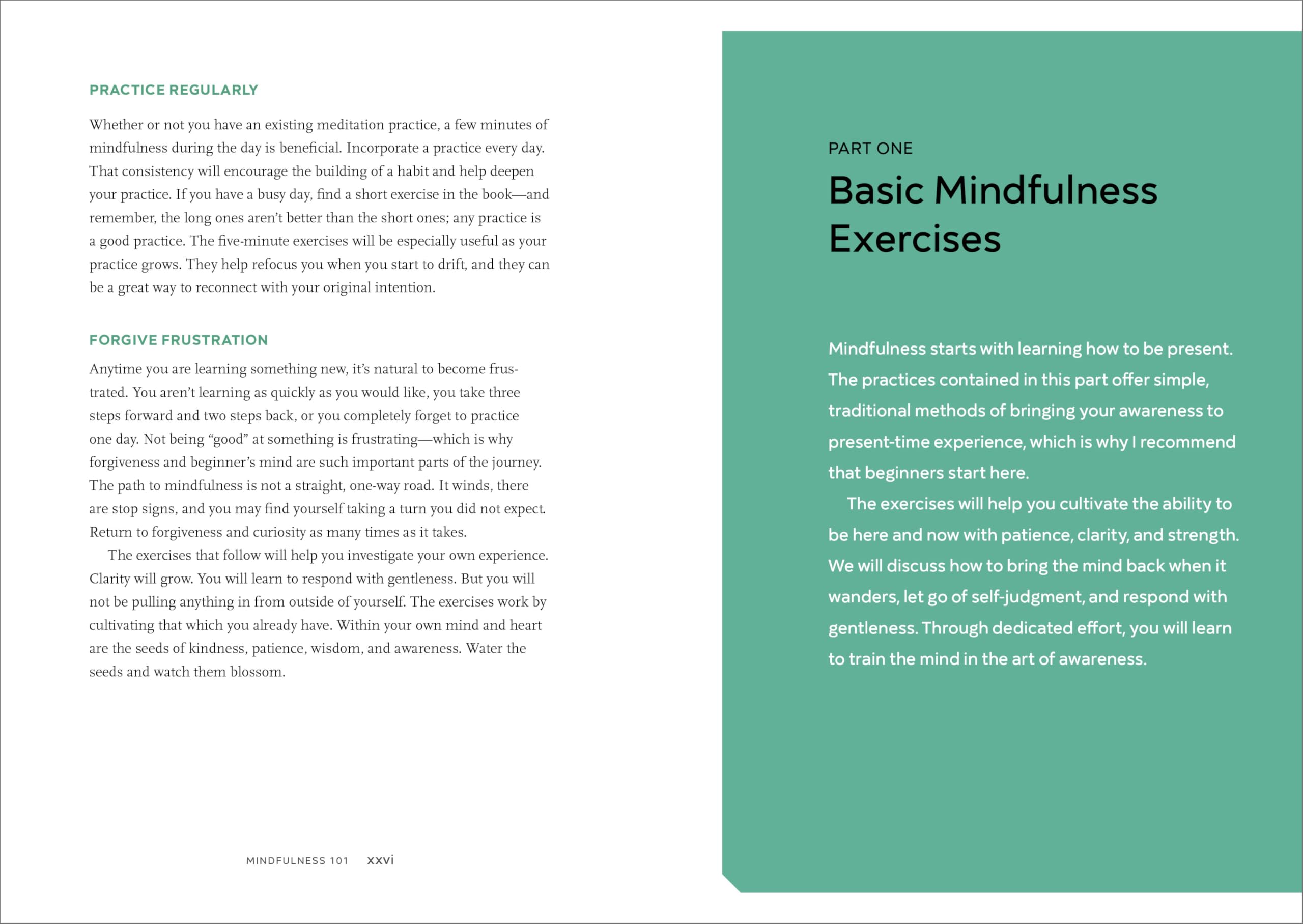 Celebrate Your Body (and Its Changes, Too!): The Ultimate Puberty Book for Girls (Celebrate You, 1), for Girls Ages 8-12