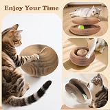 bonitacrylic Kitty Kurlz Cat Toys Indoor/Outdoor Scratcher Track Ball view 5