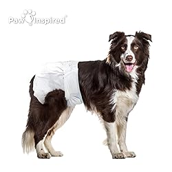 Paw Inspired Disposable Dog Diapers | Female Dog