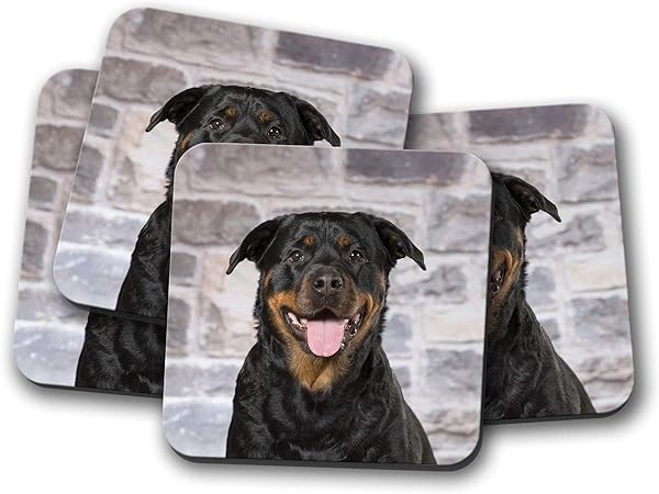 juegos de papa perro