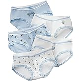 SINMIUANIME Women's Panties Anime Print Underwear Breathable Cotton Brief Sexy Cosplay Lingerie 5-Pack