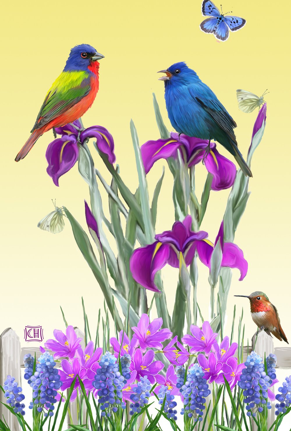 Best Iris Flower Garden Flag