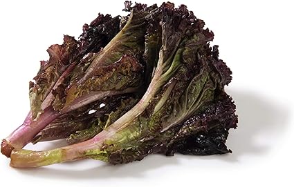 Fresh Lettuce Red, 1 Piece