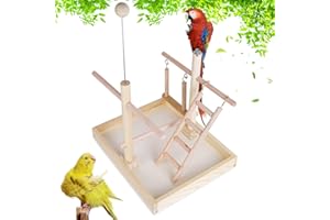 Joyeee Budgie Perch Nature Wood Stand, Parrot Climbing Ladder Swing Chew Toy, Small Tabletop Bird Cage Play Gyms Playground for Parrots, Macaws, Love Birds, Finches, African Grey, Budgies