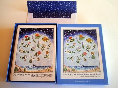 Amazon Com Susan Wallace Barnes Stars Of The Earth Boxed Note