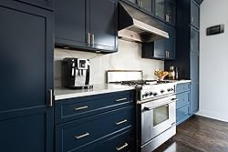 Goo-Ki Champagne Bronze Cabinet Pulls with 4'' Hole