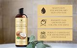 Handcraft Blends Fractionated Coconut Oil 236 ml Carrier Oil view 6