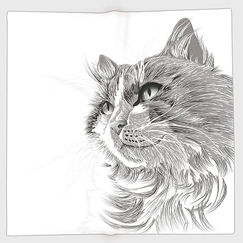Amazon Iprint ポリエステルバンダナヘッドバンド スカーフ ヘッドラップ 動物 猫の頭 ポートレート フワフワ かわいい頭 子猫 国産 肉 ペット 図面 イラスト デコレーション グレーホワイト レディース メンズ 30x30 Inch 77x77 Cm Iprint ヘッドバンド