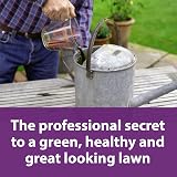 Flower Power Richard Jackson Premium Lawn Magic Liquid Lawn Feed 1.5L view 7