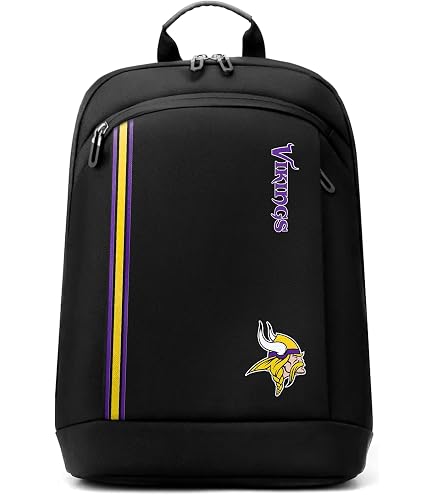 SOAR NFL 14 Inch Laptop Bag, Team Color, One Size : Sports & Outdoors