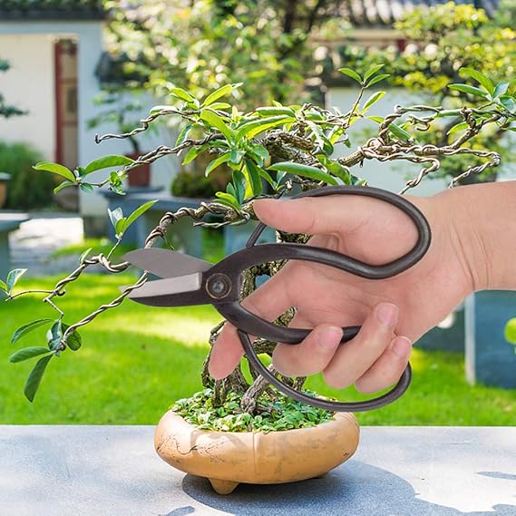 【𝐒𝐩𝐫𝐢𝐧𝐠 𝐒𝐚𝐥𝐞】Has Strong Toughness Bonsai Scissor, Flower Arrangement