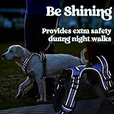 rabbitgoo Dog Harness Large No-Pull Front Back Clips Reflective Blue L view 9