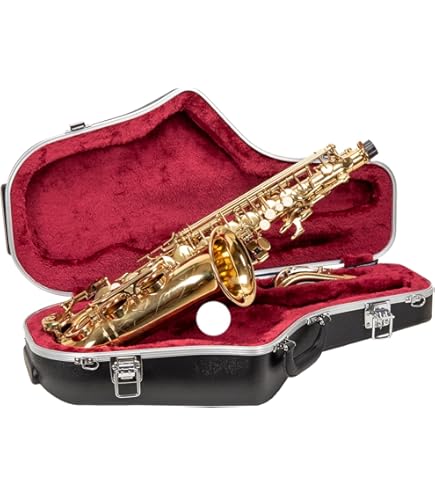 Amazon.com: Fender Mississippi Sax Harmonica Case, Tweed : Musical