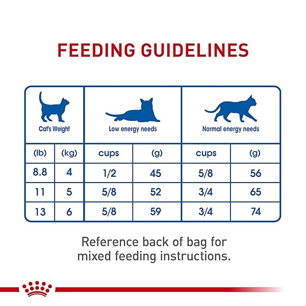 ROYAL CANIN FELINE HEALTH NUTRITION INDOOR ADULT DRY CAT FOOD, 7 LB BAG