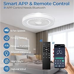 Modern Ceiling Fans with Lights - 19 inch Low