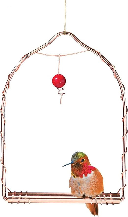 Amazon Com Songbird Essentials Sehhhums Copper Hummingbird Swing