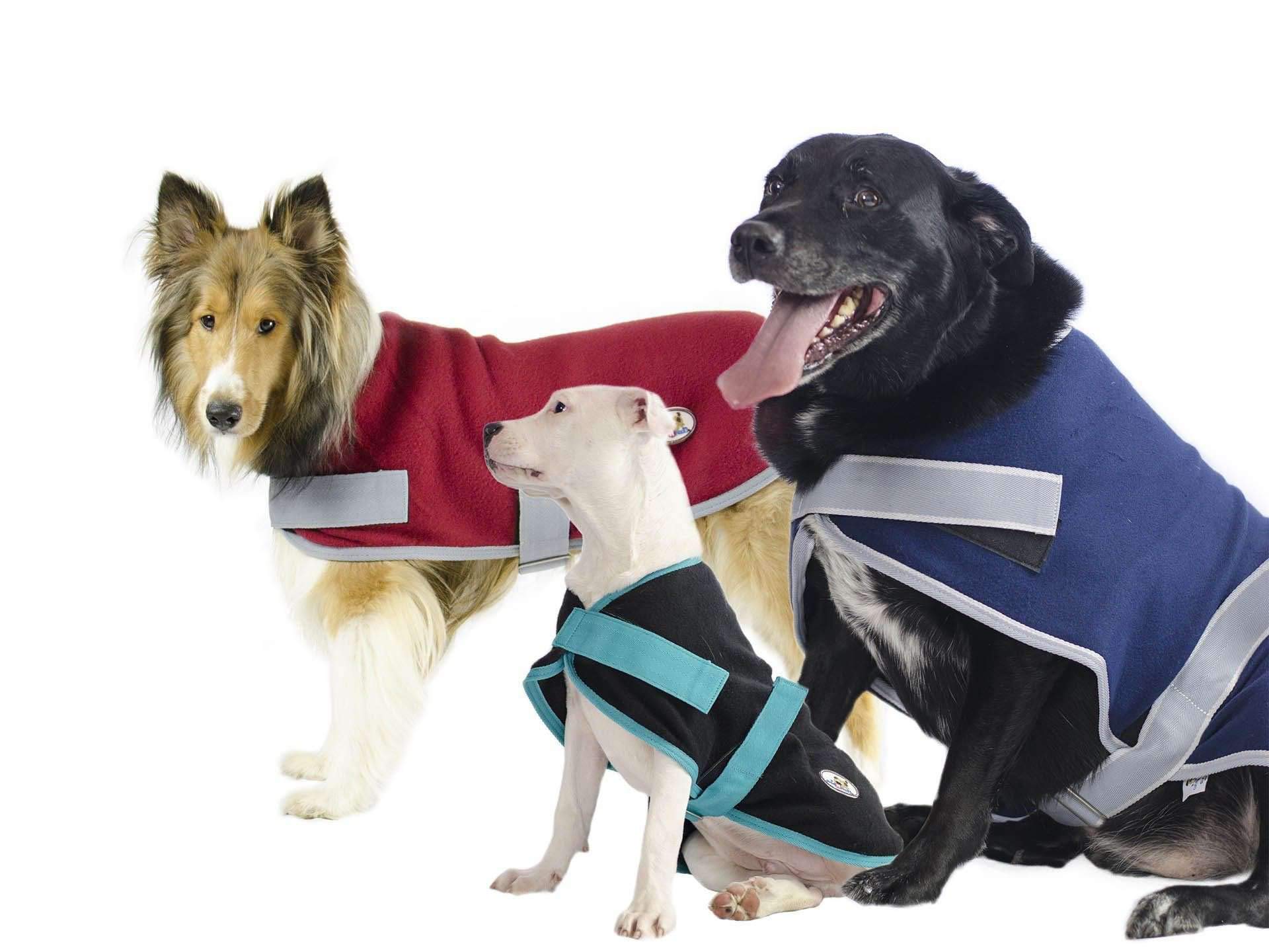 cuteNfuzzyPolar Fleece Lounger All Season Dog Sweater for Indoor Outdoor Use