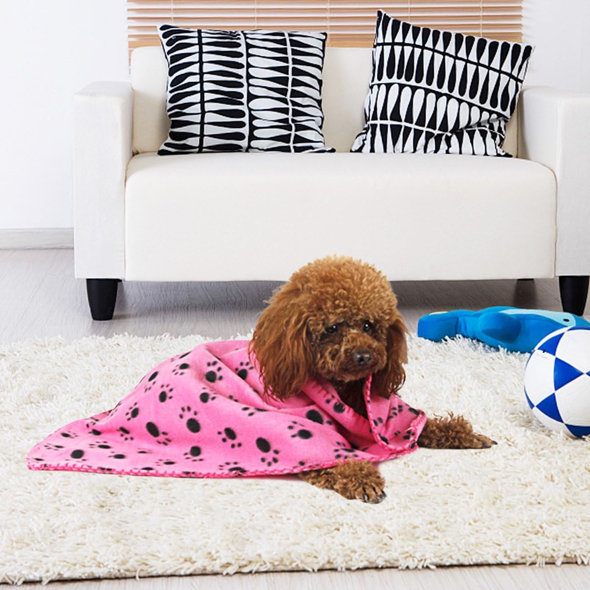 Comsmart Pet Blanket Dog Cat Soft Fleece Blankets Sleep Mat Pad Bed Cover with Paw Print for Kitten Puppy and Other Small Animals, 6 Pack of 24x28 Inches : Pet Supplies