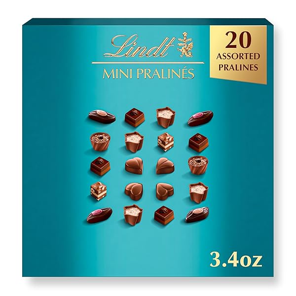 LINDT MINI PRALINES, ASSORTED CHOCOLATE CANDY PRALINES WITH PREMIUM FILLING, 3.4 OZ BOX