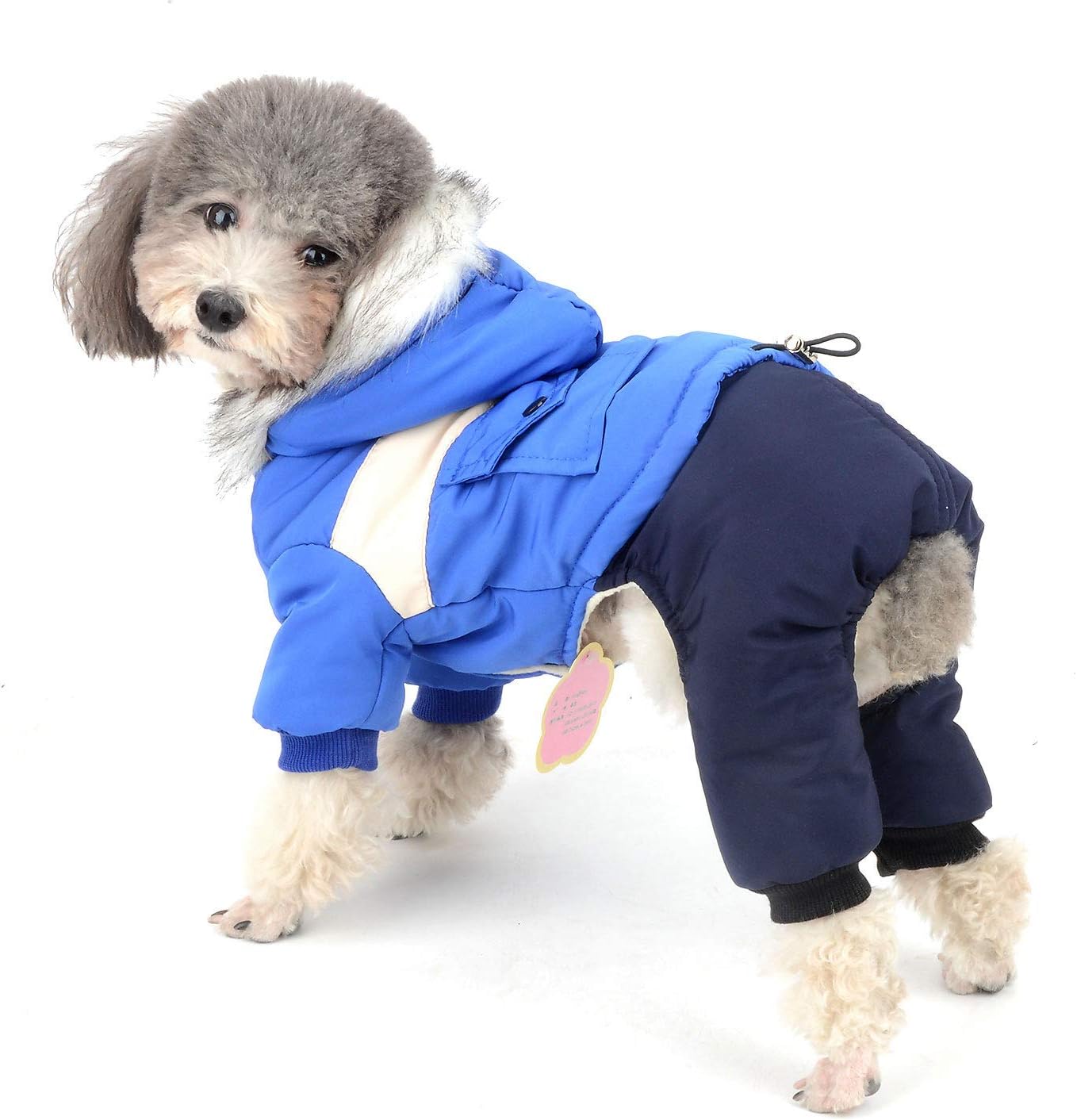 sweet potato is good for dogs